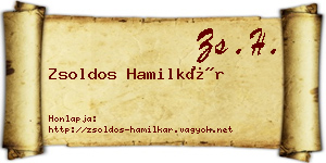 Zsoldos Hamilkár névjegykártya